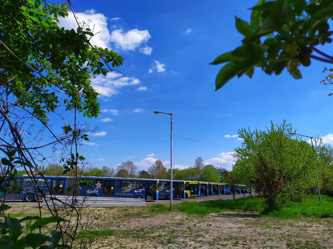 Neobus #798 ; #796 ; Ik-218N #968