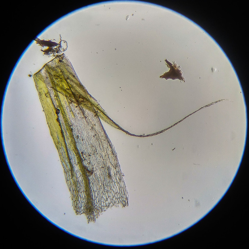 IMG 20250614 124405 HDR