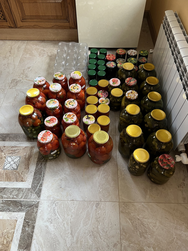 28CE5CA1-0CD9-44F9-AE67-D889F88AB714