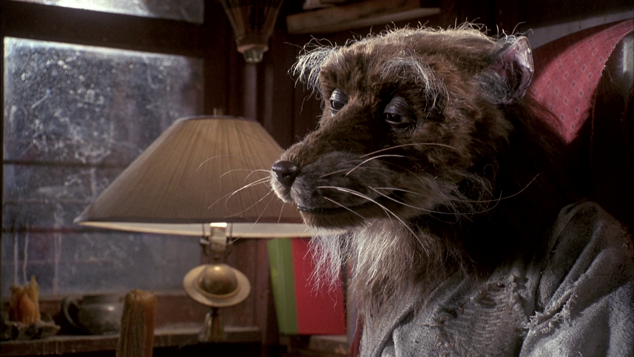 vlcsnap-2024-03-05-10h36m38s014