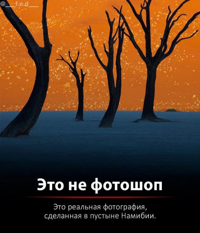[Изображение: da3c8ca93cfdb57e9114d8444902275c.jpg]