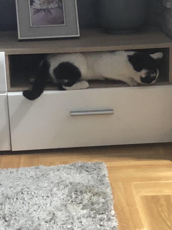 F57BF05A-3C15-440B-8E3A-2F63E6EB03CD