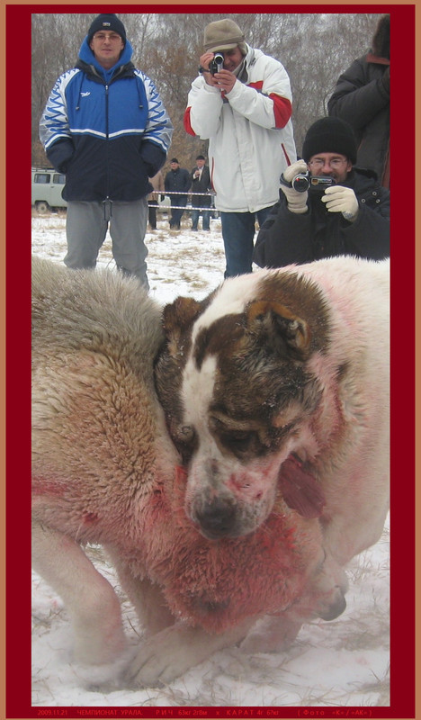 Рамазан 2009.11.21 КАРАТ 63кг 4г х РИЧ 63кг 2г8м L (61Б)