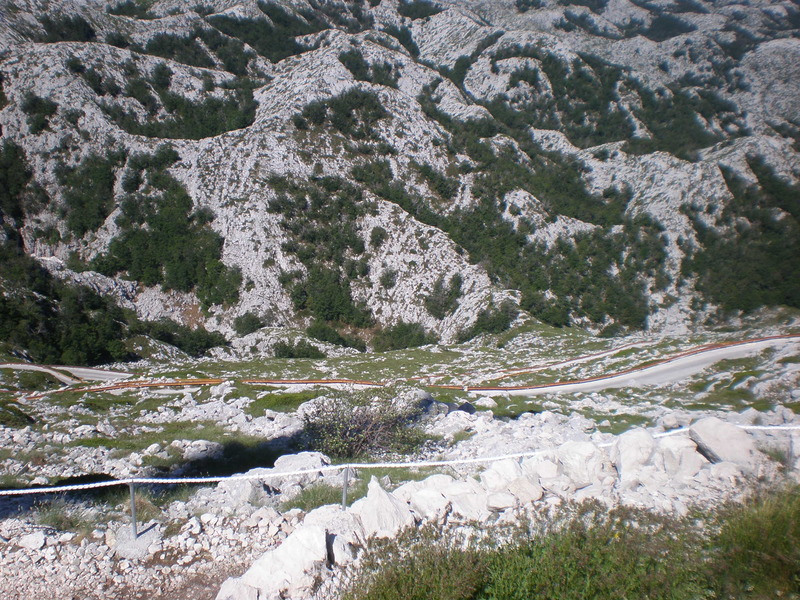 Picturevela luka 386