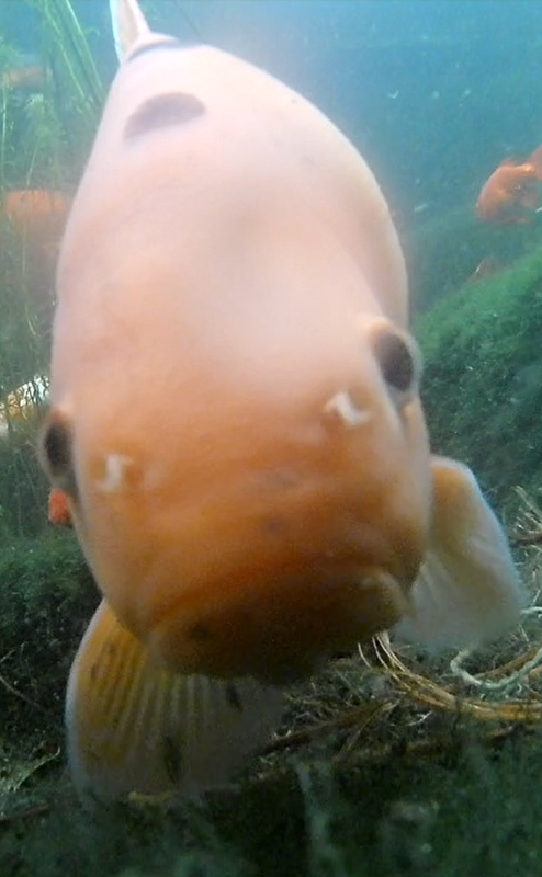 Screenshot 2020-07-21 10.57.47