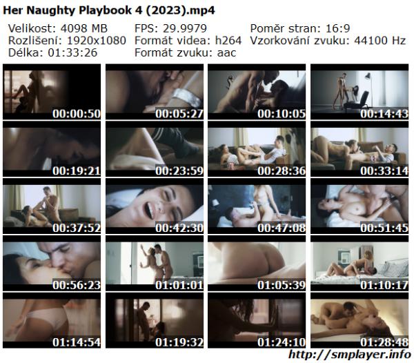 Her Naughty Playbook 4 (2023)