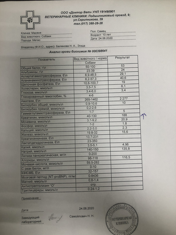 8FA05891-A852-4077-BBC8-8E2247428A1B