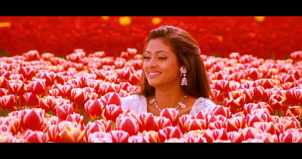 VideoCapture_20241122-195114