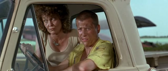 vlcsnap-2016-03-01-21h32m59s312_zps6izcvjla