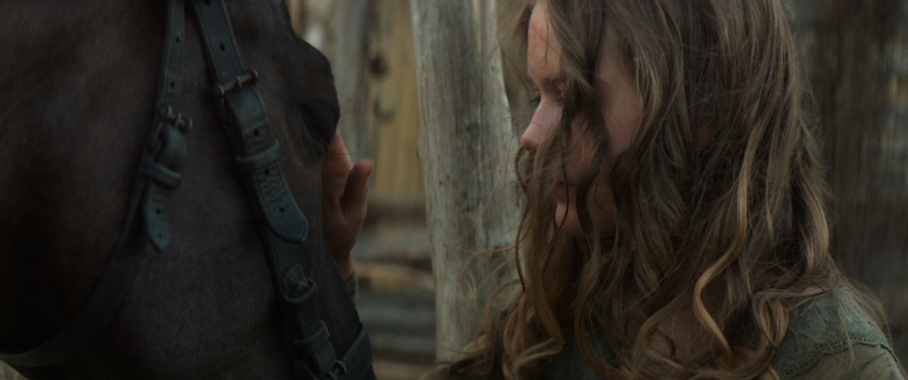 The Ottoman Lieutenant 2017 (1080p x265 10bit Ti