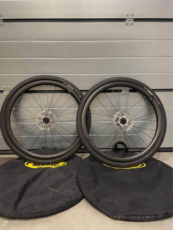 550212525 1943293409798479 8228595228201506190 n