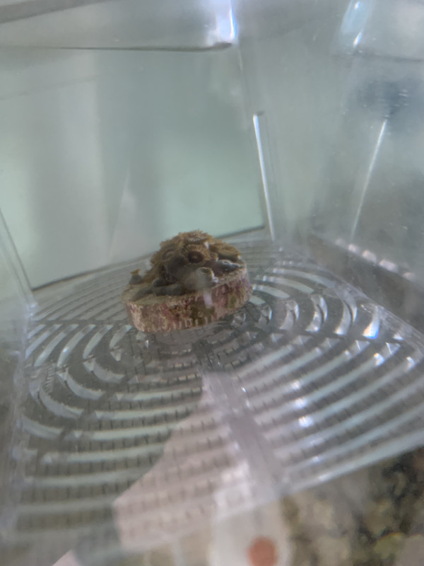 54D2D654-426B-4BD4-BB5B-98AD8AEE7440