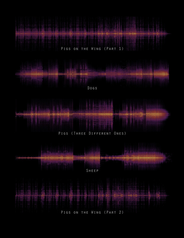 pink floyd album Spectrogram 1