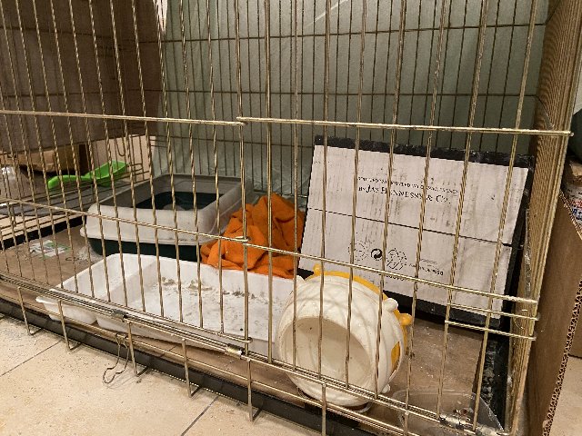 EF796-A07-E9-DA-4-F1-E-90-D9-E550723-E39