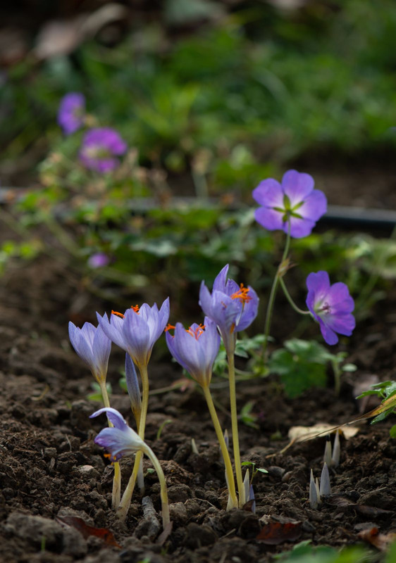 IMG-f52907f7e74bf594d55cffab1b48c70c-V