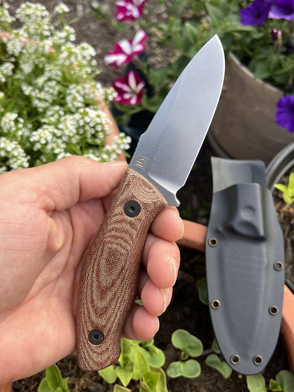 55BA82BF-32B7-413D-A34F-DAAC0E827FD0