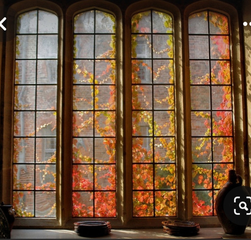 Screenshot_20231128_180043_Pinterest