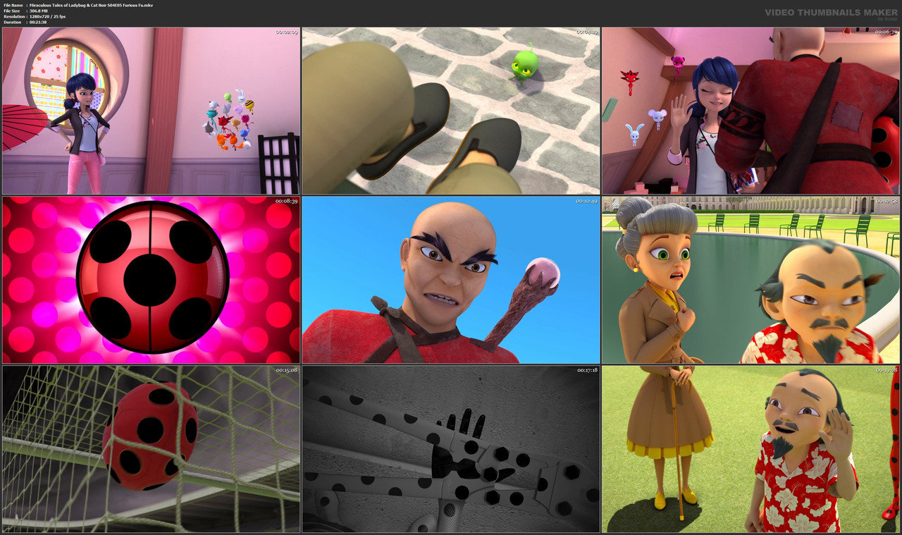 Miraculous Tales of Ladybug & Cat Noir S04E05 Furious Fu.mkv