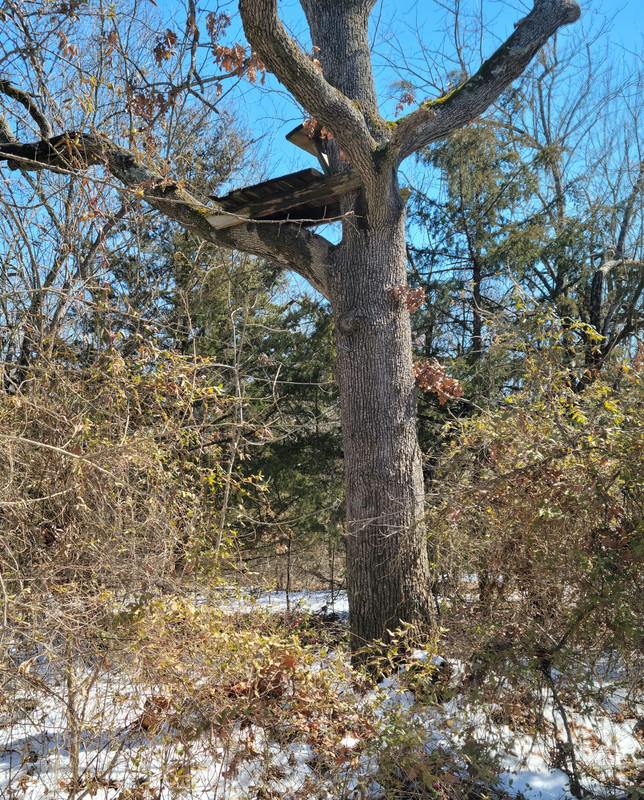 20220313 132027 — Postimages