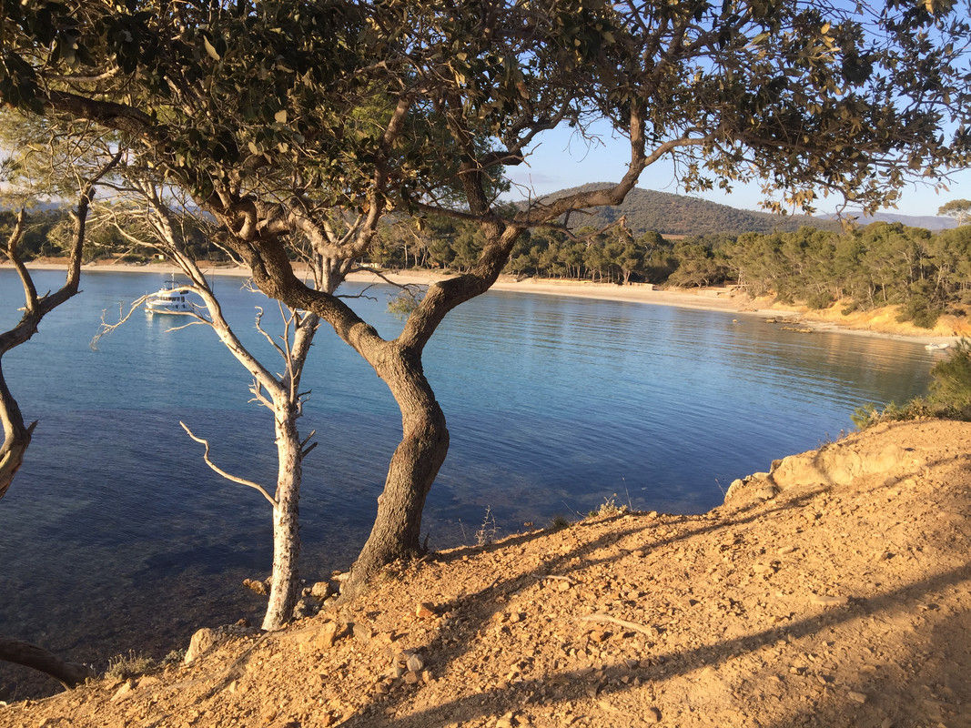 61D28F0D-5CFB-4774-A0F9-E944303FEC91