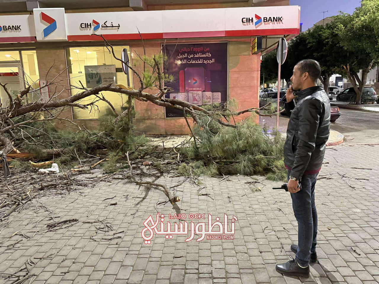 575420579-861279469632556-3291018235781773599-n