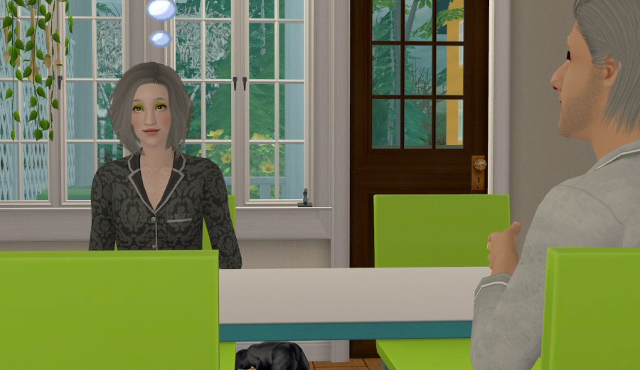 Sims2-EP9-2021-03-26-17-01-06-47