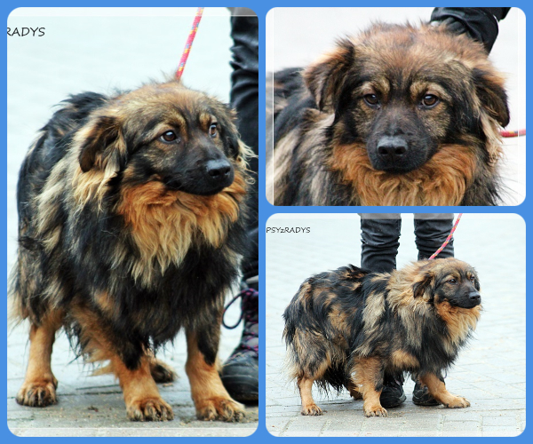 BeFunky-collage (26)