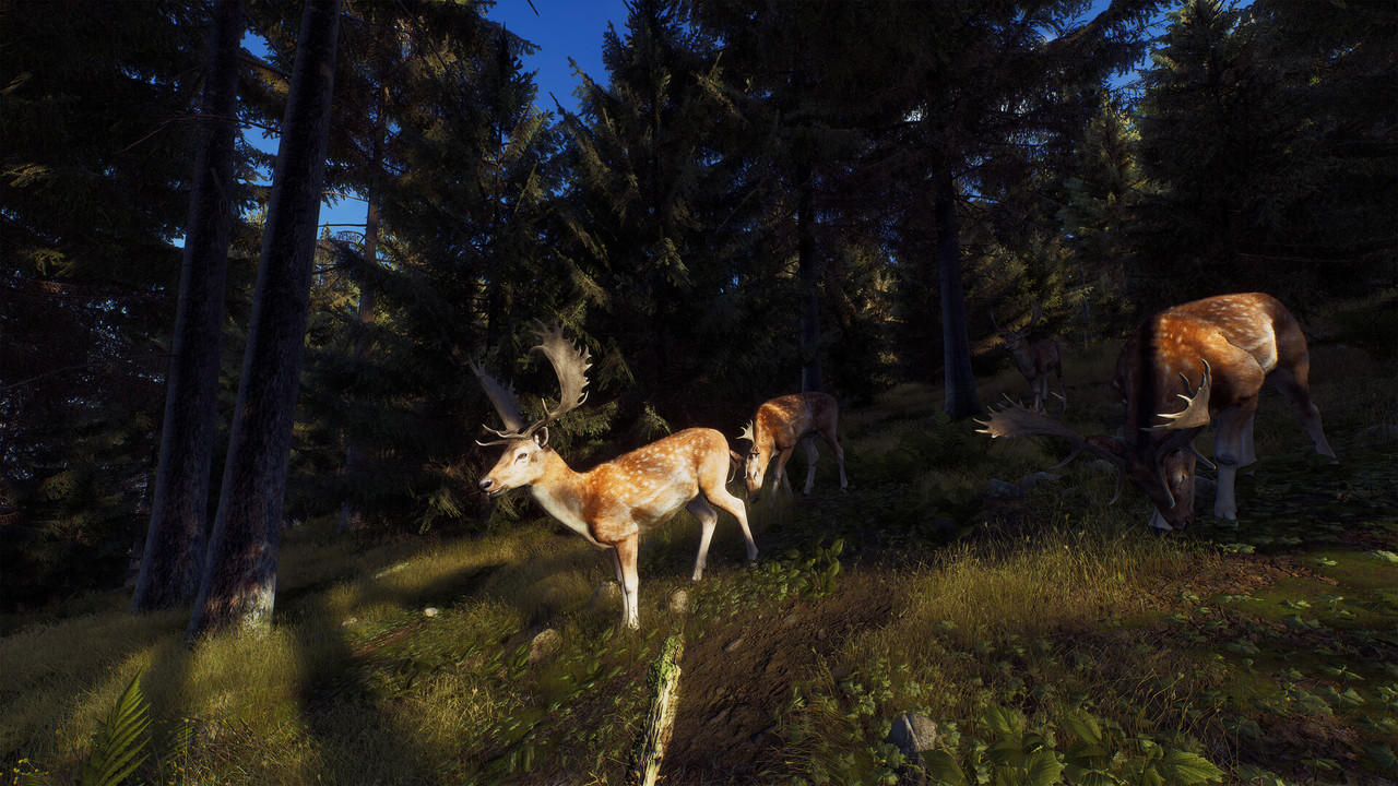 Download Way of The Hunter APK