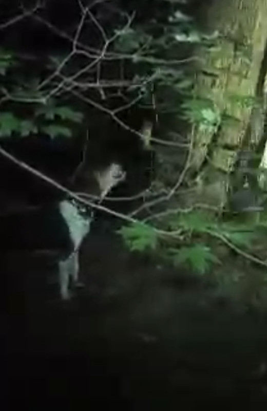 159651C6-18DC-49AC-B6B8-079F5CF3F8BE