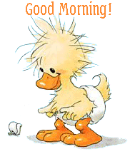 good-morning-duckling