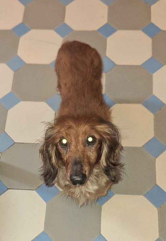 [Image: 20240524-103705.jpg]