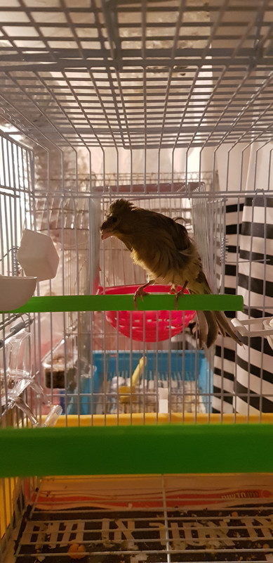 ٢?١٨١١١٦_?٨?١١?