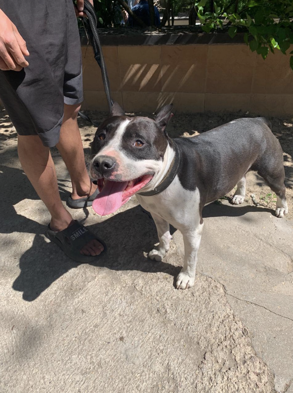 Снимок экрана 2024-05-25 в 20.51.31