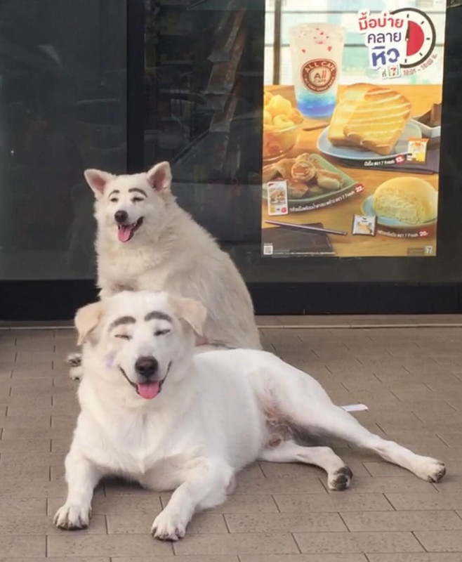 geesutthirak-1710648867-3325486183227444821-1992973541