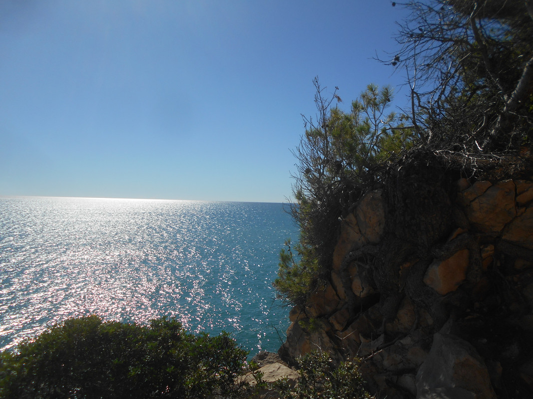 DSCN8603.jpg