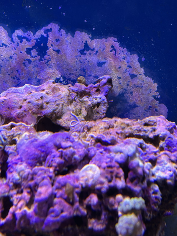 C1233E43-4F57-4310-9C2B-956D59C31321