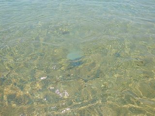 IMG20230705124337