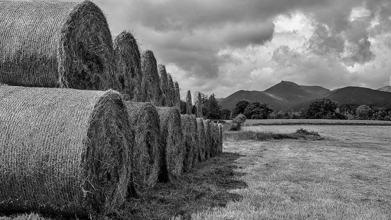 greyhaybales.jpg