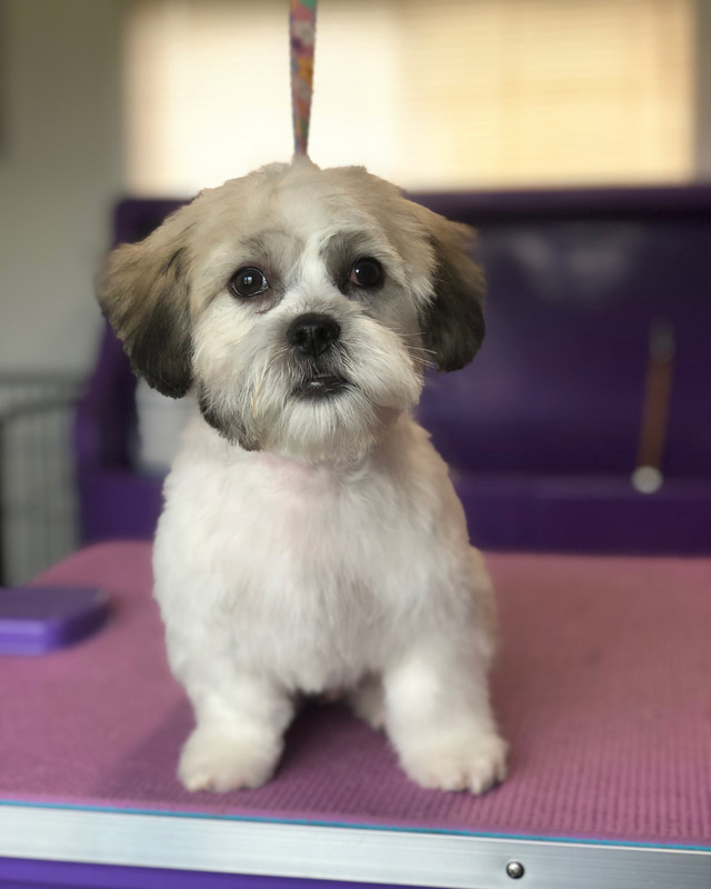 ED42A0D0-D02A-4F9B-A32D-2AD91B1605FE