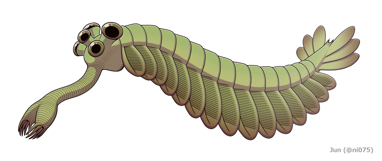 20191108-Opabinia-regalis.png