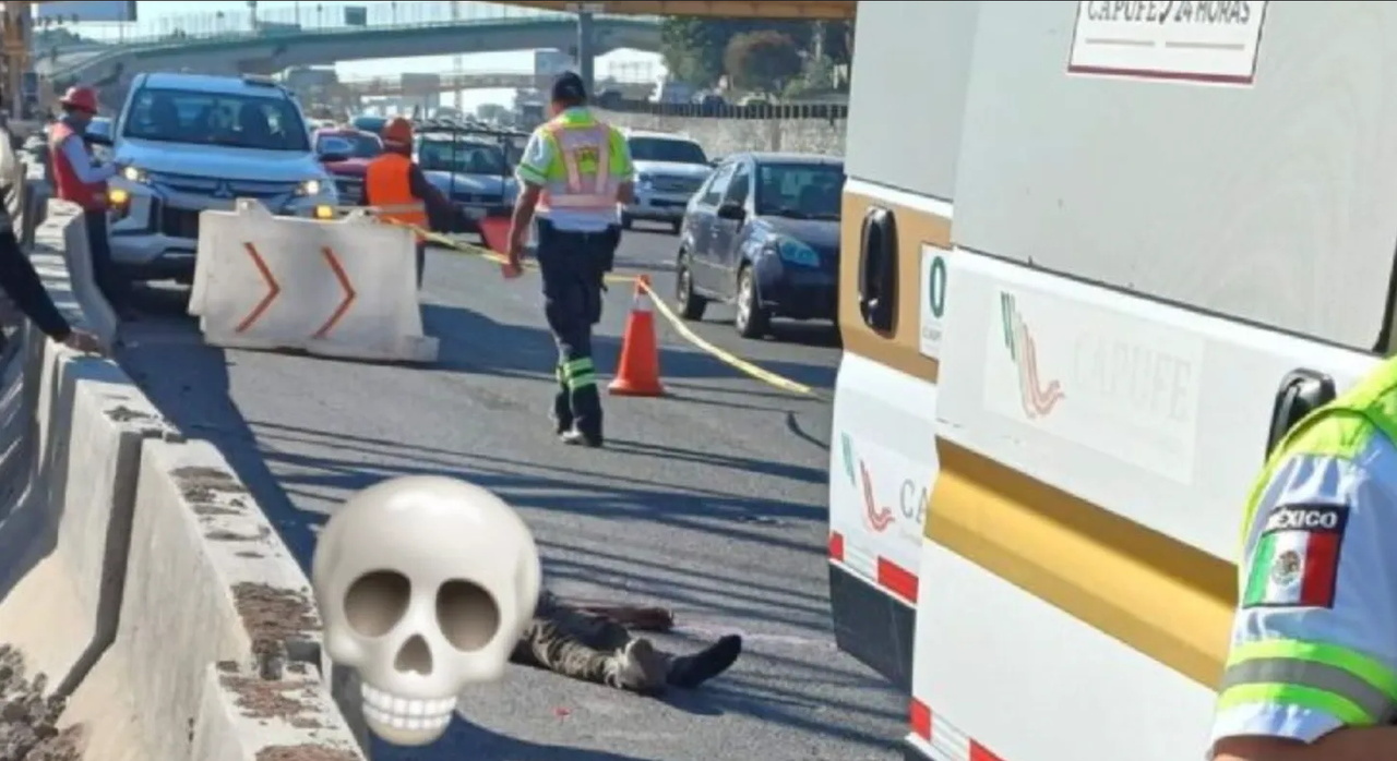 Pasajero frustra asalto y mata a delincuente en combi (autopista México-Puebla)