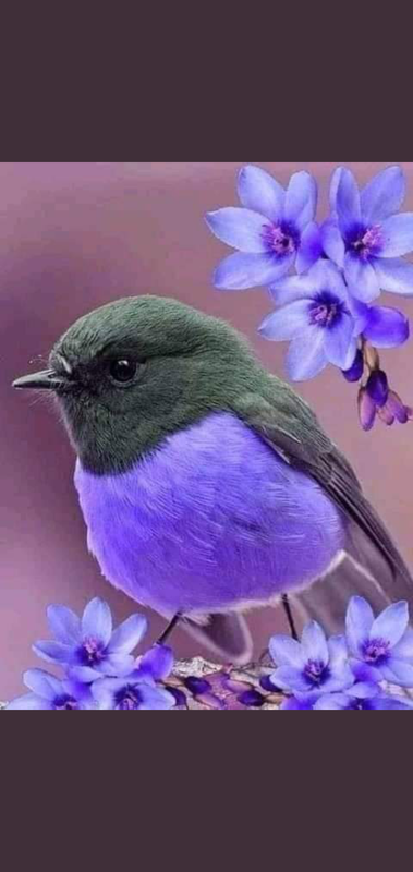 Screenshot_٢٠٢١٠٥٣١-١٦٣١٢١