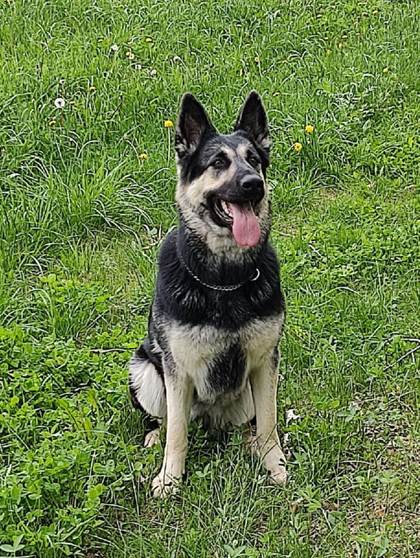 QIJ7rTVqnvj7n41EtoxNr38aAE1B6BNgB-3NNjskjFaIOI1GQwWEHbBJ5G5gOf6RZTBZIjfmcO2vJbuhZ0_AbA4s