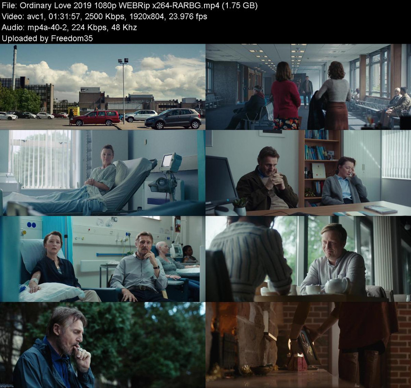 Ordinary-Love-2019-1080p-WEBRip-x264-RAR