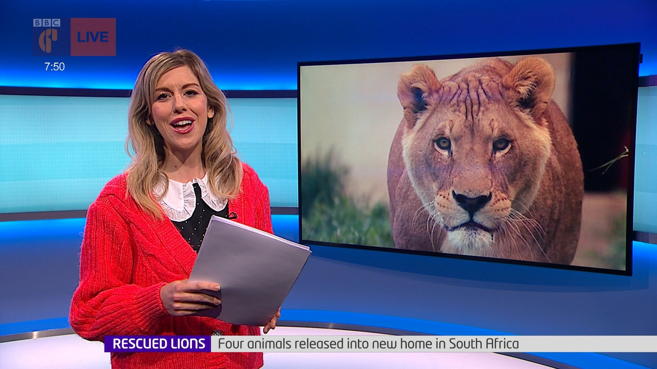 Newsround_20220223_07450755.ts_snapshot_06.57.578