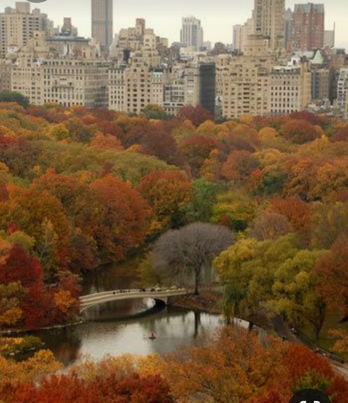 Screenshot_20230301_224735_Pinterest