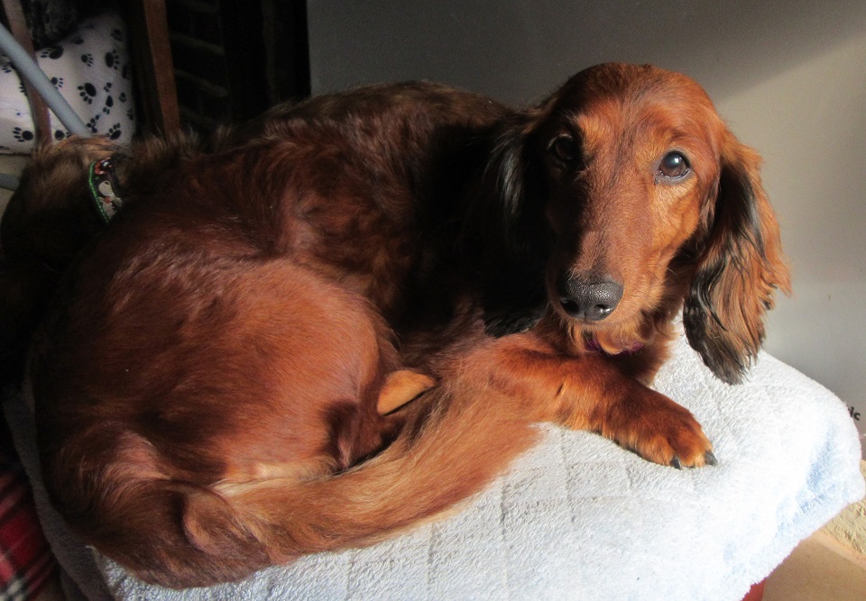 [Image: IMG-3386.jpg]