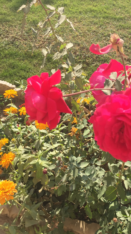 20649F10-9EFC-4642-9311-1588D41DC16A