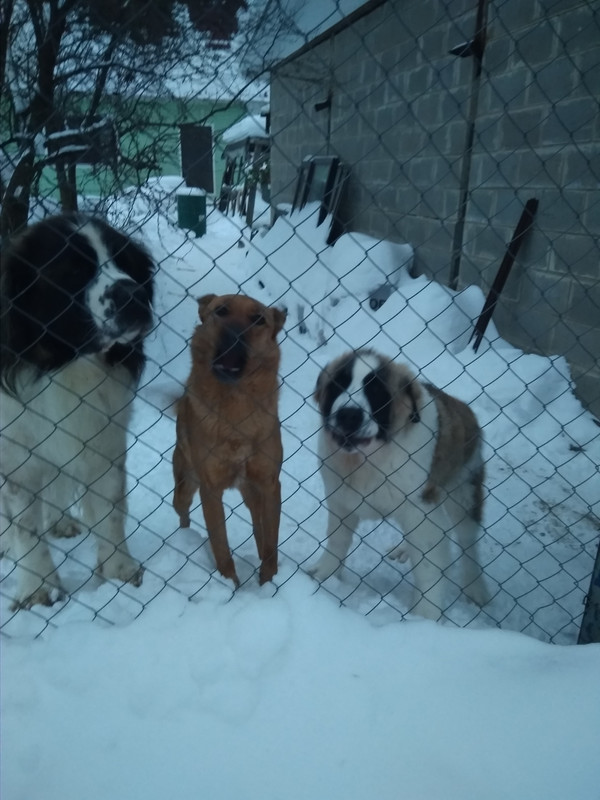 Трое в лодке