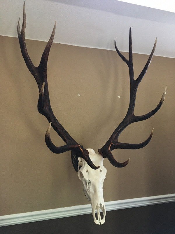 D175E7D0-D7E1-4265-86B0-D672AAF90B58